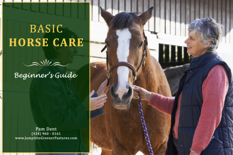 Beginner’s Guide to Basic Horse Care PAM DENT